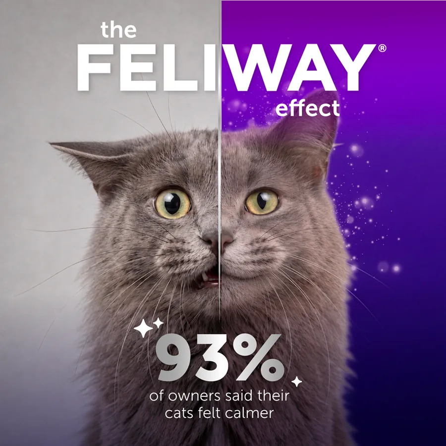 Feliway work, image 1
