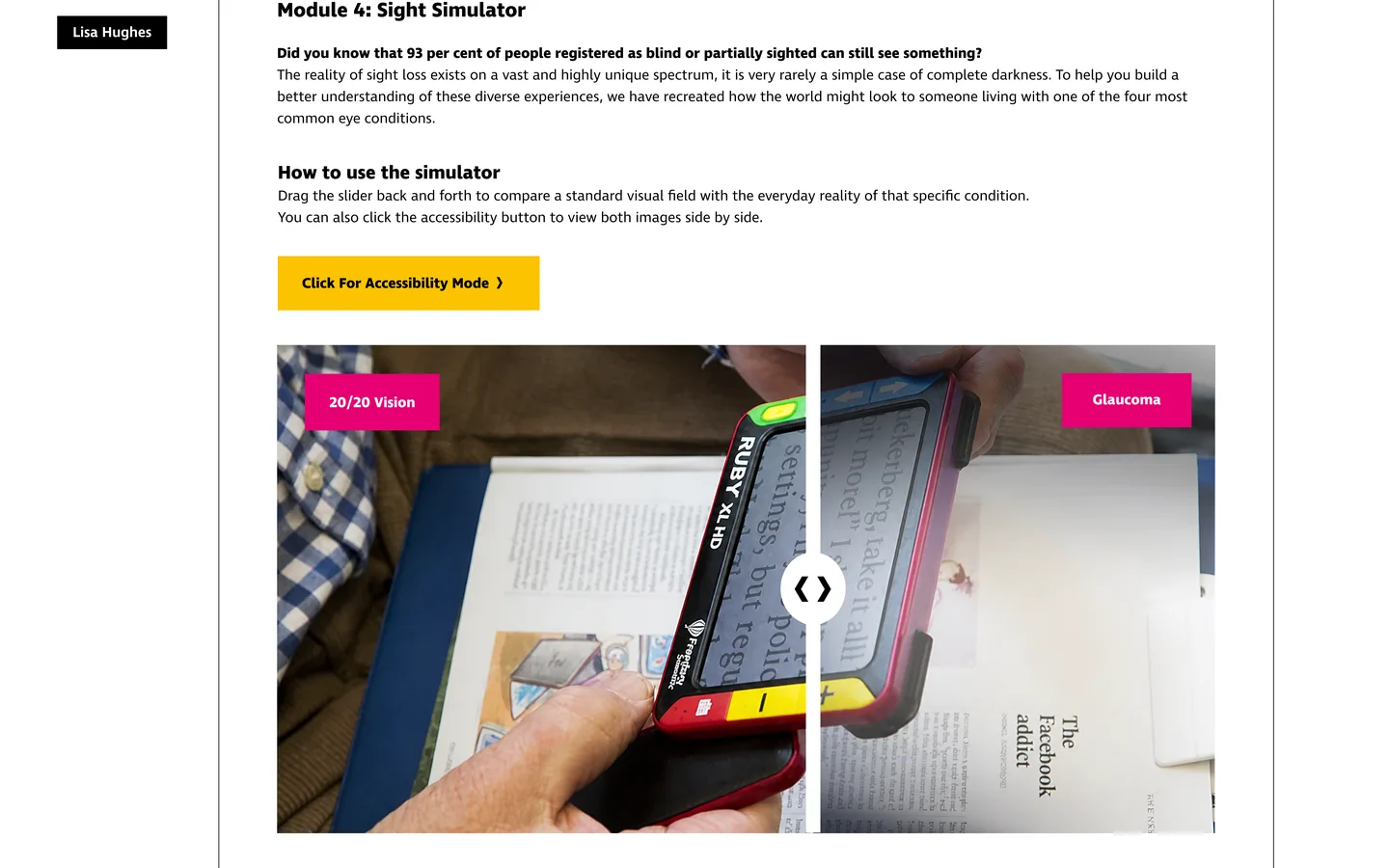 RNIB work, image 2