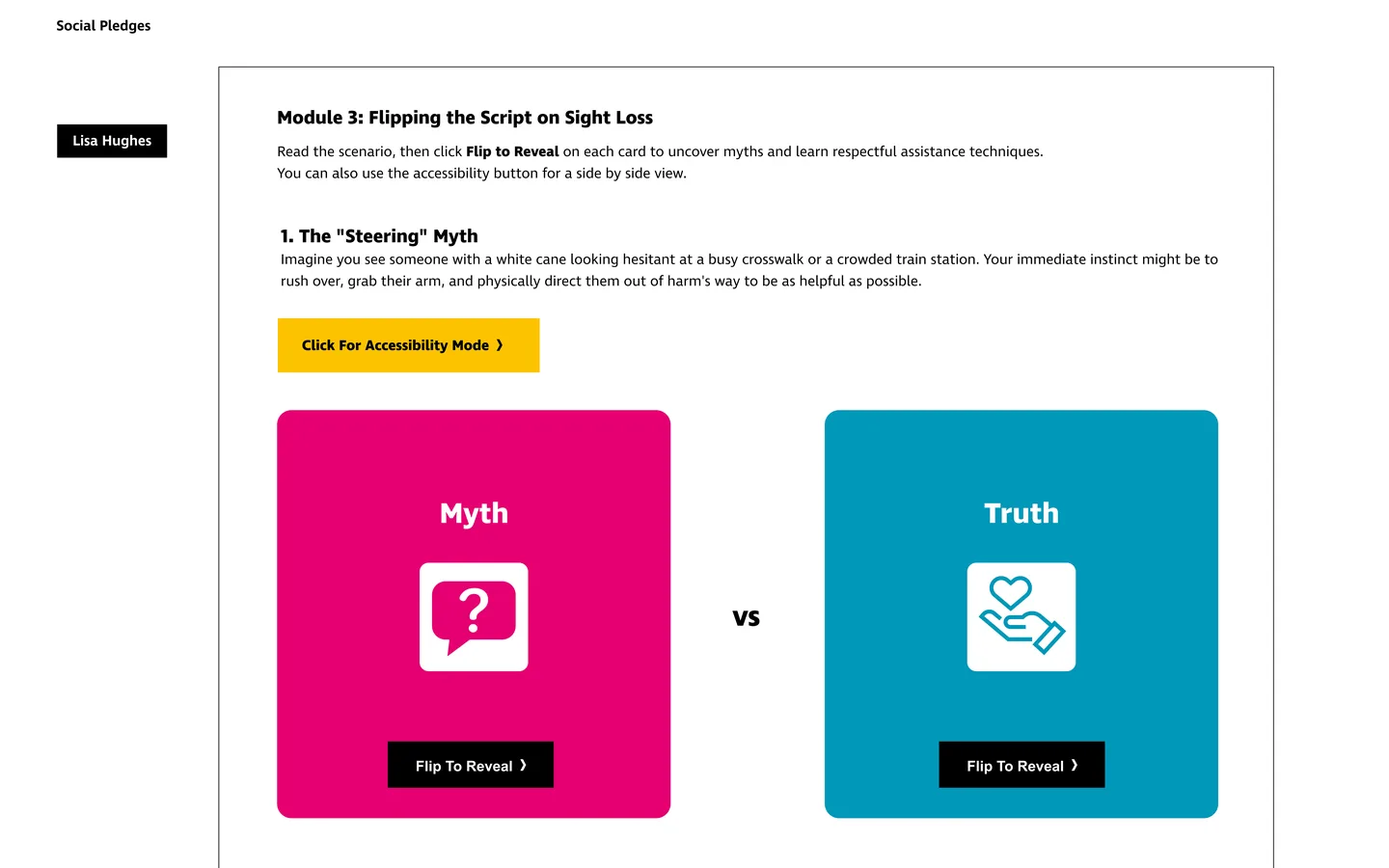 RNIB work, image 3
