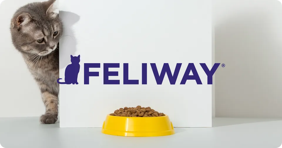 Feliway: Amazon content that doubled sales
